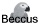 Realisatie Beccus Internet Services
